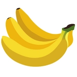 The Banana Fruit