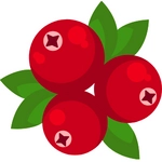 Cranberry Image