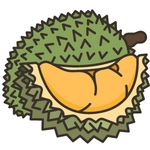 Durian Photo
