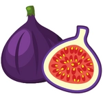 Fig Fruit Photo