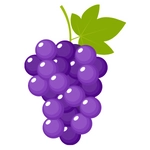 Grapes Fruit Photo