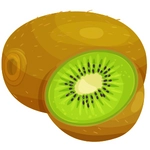 Kiwifruit Photo