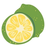 Lime Fruit Picture