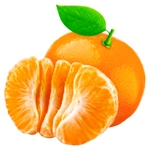 Mandarin Orange Photo