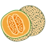 Cantaloupe Melon Image