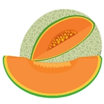 Melon Fruit Photo
