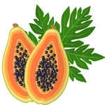 Papaya Fruit Photo