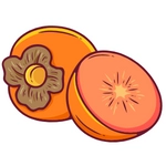 Persimmon Fruit Picture