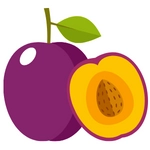 Plum Fruit Image