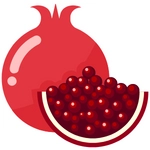 Pomegranate Fruit Photo