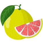 Pomelo Fruit Picture