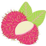 Rambutan Fruit Pic