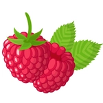 Raspberry Fruit Photo