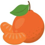 Tangerine Fruit Picture