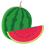Watermelon Fruit Image