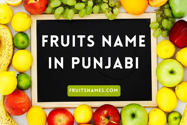 Fruits Name In Punjabi